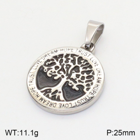 2P2002985aakl-436  Stainless Steel Pendant