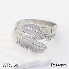 2R2001122vaii-395  Stainless Steel Ring