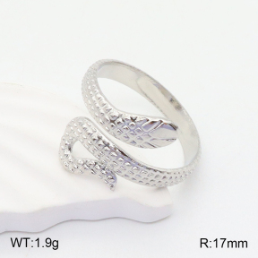 2R2001269baka-317  Stainless Steel Ring