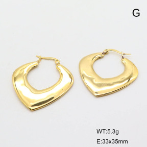 6E2006726vbmb-368  Stainless Steel Earrings