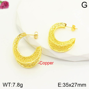 CL6E00198aajl-J167   Closeout( No Discount)  Fashion Copper Earrings