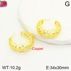 CL6E00199aajl-J167   Closeout( No Discount)  Fashion Copper Earrings