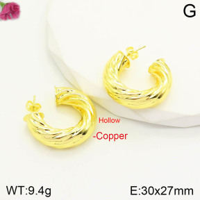 CL6E00200aajl-J167   Closeout( No Discount)  Fashion Copper Earrings