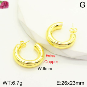 CL6E00204aajl-J167   Closeout( No Discount)  Fashion Copper Earrings