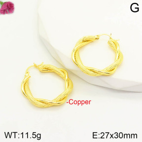 CL6E00207aajl-J167   Closeout( No Discount)  Fashion Copper Earrings