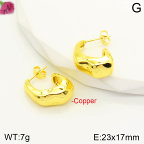 CL6E00208aajl-J167   Closeout( No Discount)  Fashion Copper Earrings