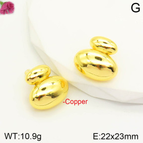 CL6E00210aajl-J167   Closeout( No Discount)  Fashion Copper Earrings