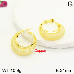 CL6E00227aajl-J167   Closeout( No Discount)  Fashion Copper Earrings