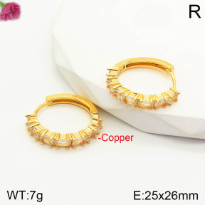 CL6E00230aajl-J167   Closeout( No Discount)  Fashion Copper Earrings