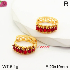 CL6E00231aajl-J167   Closeout( No Discount)  Fashion Copper Earrings