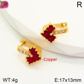 CL6E00239aajl-J167   Closeout( No Discount)  Fashion Copper Earrings