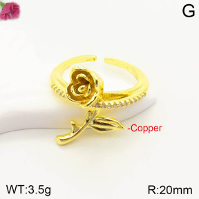 CL6R00080aajl-J167   Closeout( No Discount)  Fashion Copper Ring