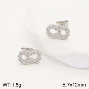 PE1757155vbmb-669  Dior  Earrings