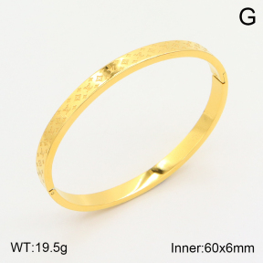 PZ1757211bbov-317  LV  Bangle