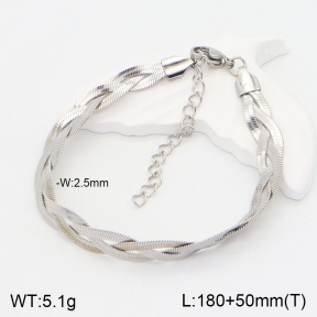 2B2002946vhhl-214  Stainless Steel Bracelet