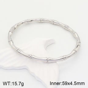 2BA201398vhha-214  Stainless Steel Bangle