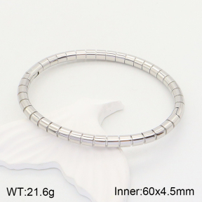 2BA201404vhha-214  Stainless Steel Bangle