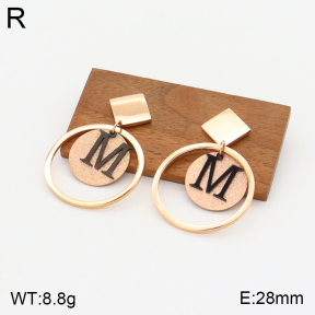 2E4003639vbmb-363  Stainless Steel Earrings