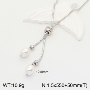 2N3001890bhia-214  Stainless Steel Necklace