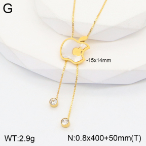 2N4003132ablb-363  Stainless Steel Necklace