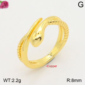 F2R200175vbll-J59  Fashion Copper Ring