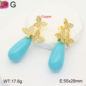 F2E401350ahjb-J22  Fashion Copper Earrings