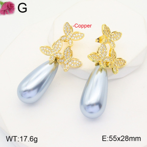 F2E401351ahjb-J22  Fashion Copper Earrings