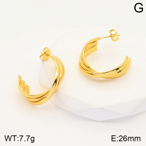 2E2004480aajl-446  Stainless Steel Earrings