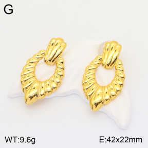 2E2004538vbmb-723  Stainless Steel Earrings