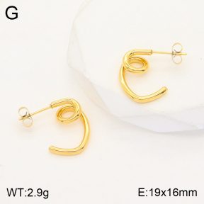 2E2004542vbnb-723  Stainless Steel Earrings