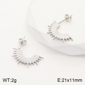 2E2004544vbnb-723  Stainless Steel Earrings