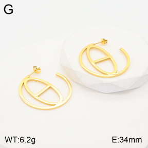 2E2004559bhva-723  Stainless Steel Earrings