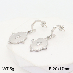 2E2004565vbmb-723  Stainless Steel Earrings