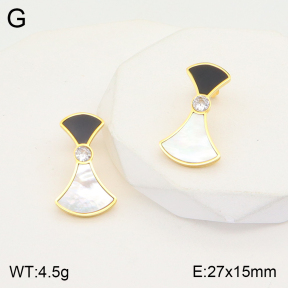 2E3002658bhva-723  Stainless Steel Earrings