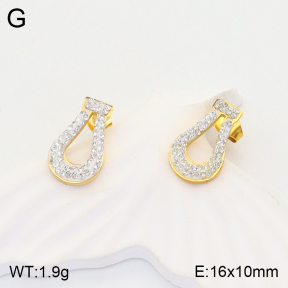 2E4003640vbmb-723  Stainless Steel Earrings