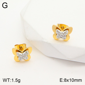 2E4003647ablb-723  Stainless Steel Earrings