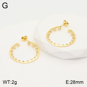 2E4003653vbmb-723  Stainless Steel Earrings