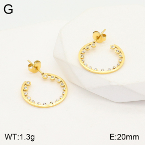 2E4003655vbmb-723  Stainless Steel Earrings