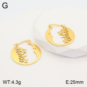 2E4003667vbnb-723  Stainless Steel Earrings