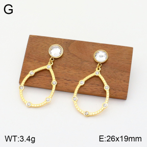 2E4003670bhva-723  Stainless Steel Earrings