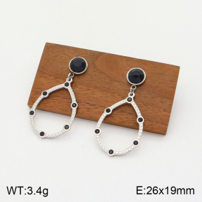 2E4003671vbpb-723  Stainless Steel Earrings