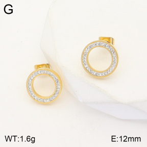 2E4003672ablb-723  Stainless Steel Earrings