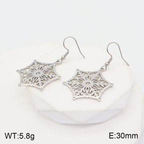 2E4003674vhha-723  Stainless Steel Earrings