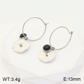 2E4003675ablb-723  Stainless Steel Earrings