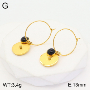 2E4003676vbmb-723  Stainless Steel Earrings