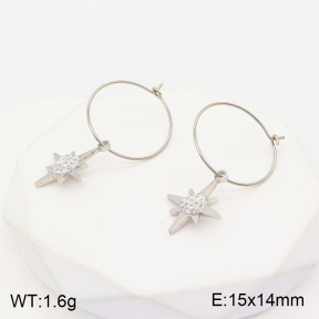 2E4003677ablb-723  Stainless Steel Earrings