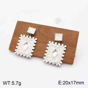 2E4003680vbnb-723  Stainless Steel Earrings