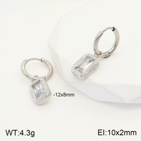 2E4003683vbmb-723  Stainless Steel Earrings