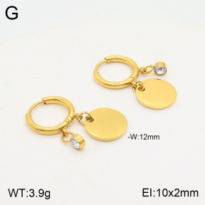 2E4003686vbnb-723  Stainless Steel Earrings