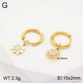 2E4003688baka-723  Stainless Steel Earrings